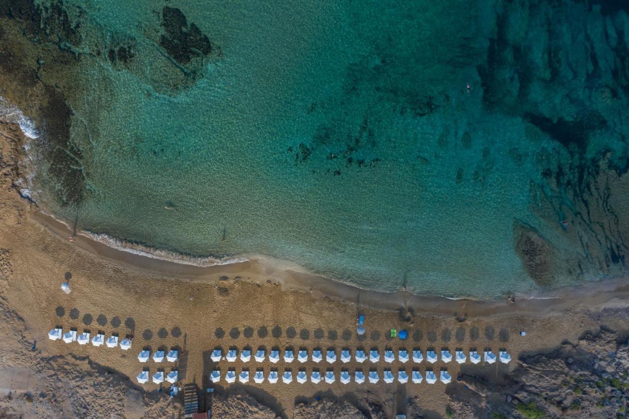 Ifestos Kings Resort Appartment بافوس المظهر الخارجي الصورة