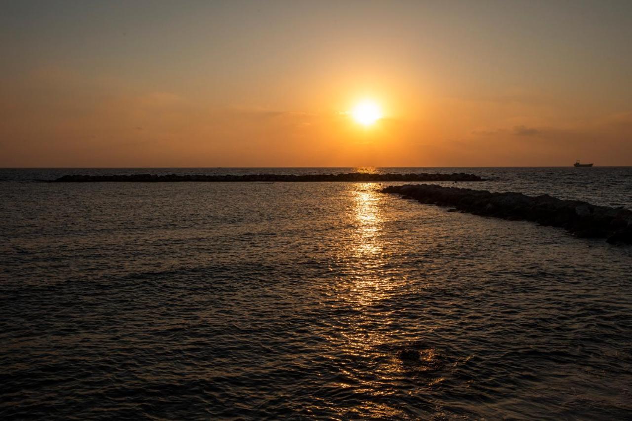 Ifestos Kings Resort Appartment بافوس المظهر الخارجي الصورة